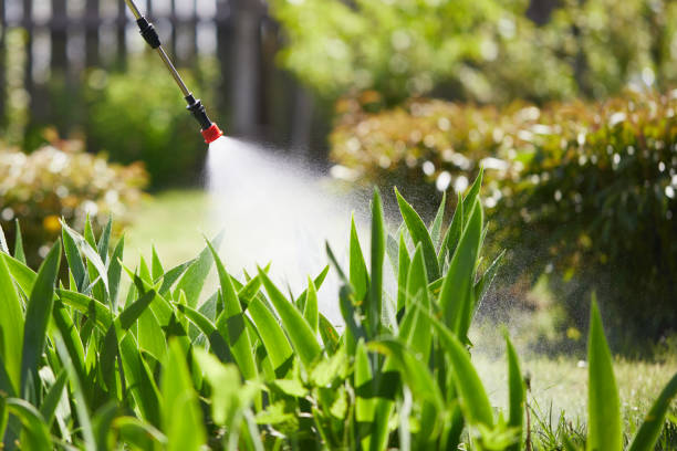 24/7 Emergency Termite Control experts in Colwyn, PA